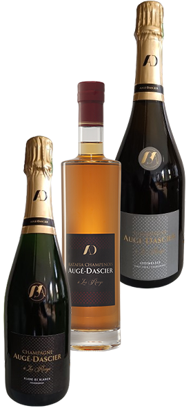 Champagne Augé Dascier